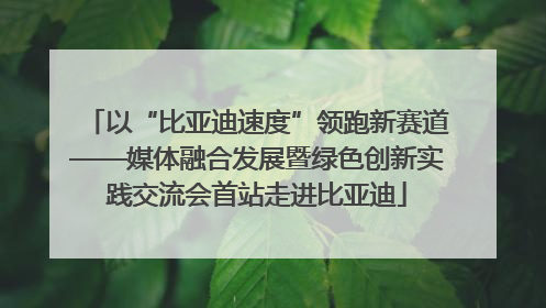 以“比亚迪速度”领跑新赛道——媒体融合发展暨绿色创新实践交流会首站走进比亚迪