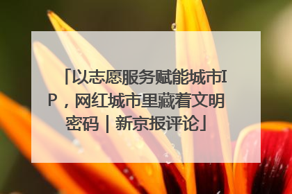 以志愿服务赋能城市IP，网红城市里藏着文明密码｜新京报评论