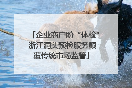 企业商户盼“体检” 浙江洞头预检服务颠覆传统市场监管