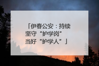 伊春公安：持续坚守“护学岗” 当好“护学人”