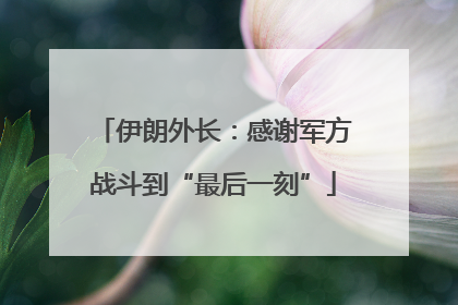 伊朗外长：感谢军方战斗到“最后一刻”