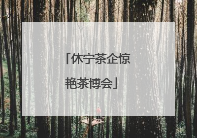 休宁茶企惊艳茶博会