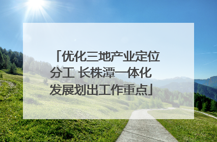 优化三地产业定位分工 长株潭一体化发展划出工作重点