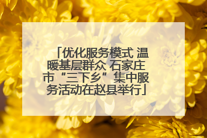 优化服务模式 温暖基层群众 石家庄市“三下乡”集中服务活动在赵县举行