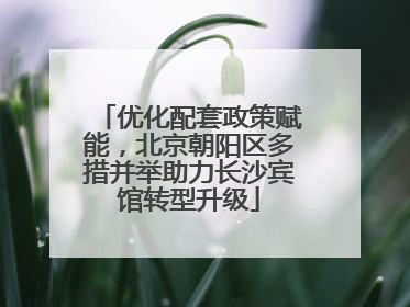 优化配套政策赋能，北京朝阳区多措并举助力长沙宾馆转型升级