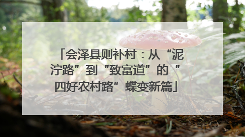会泽县则补村：从“泥泞路”到“致富道”的“四好农村路”蝶变新篇