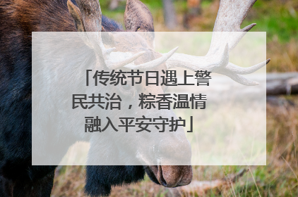 传统节日遇上警民共治，粽香温情融入平安守护