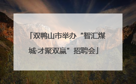 双鸭山市举办“智汇煤城·才聚双赢”招聘会