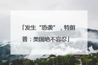 发生“恐袭”，特朗普：美国绝不容忍