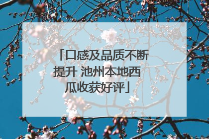 口感及品质不断提升 池州本地西瓜收获好评