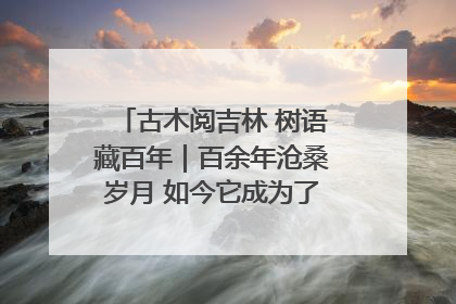 古木阅吉林 树语藏百年｜百余年沧桑岁月 如今它成为了“镇园之宝”