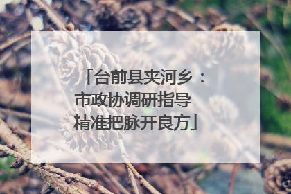 台前县夹河乡：市政协调研指导 精准把脉开良方