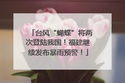 台风“蝴蝶”将两次登陆我国！福建继续发布暴雨预警！