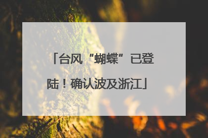 台风“蝴蝶”已登陆！确认波及浙江