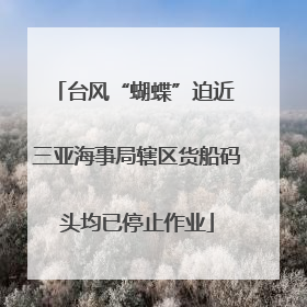 台风“蝴蝶”迫近 三亚海事局辖区货船码头均已停止作业