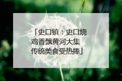 史口镇：史口烧鸡香飘黄河大集 传统美食受热捧