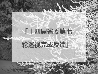 十四届省委第七轮巡视完成反馈