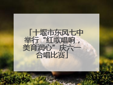 十堰市东风七中举行“红歌唱响，美育润心”庆六一合唱比赛