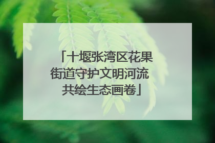 十堰张湾区花果街道守护文明河流 共绘生态画卷