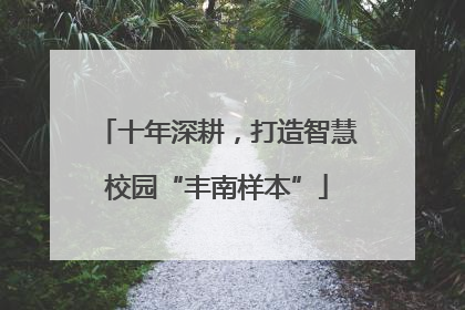 十年深耕，打造智慧校园“丰南样本”