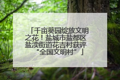 千亩葵园绽放文明之花！盐城市盐都区盐渎街道花吉村获评“全国文明村”