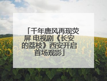 千年唐风再现荧屏 电视剧《长安的荔枝》西安开启首场观影