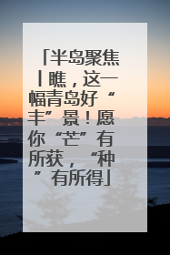 半岛聚焦丨瞧，这一幅青岛好“丰”景！愿你“芒”有所获，“种”有所得