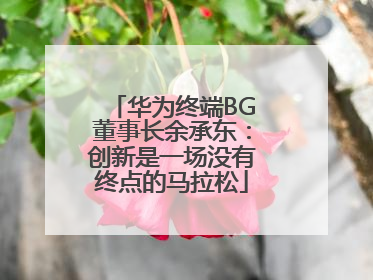 华为终端BG董事长余承东：创新是一场没有终点的马拉松