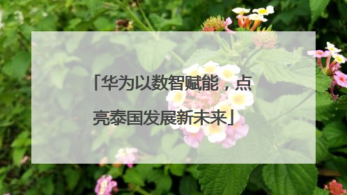 华为以数智赋能，点亮泰国发展新未来