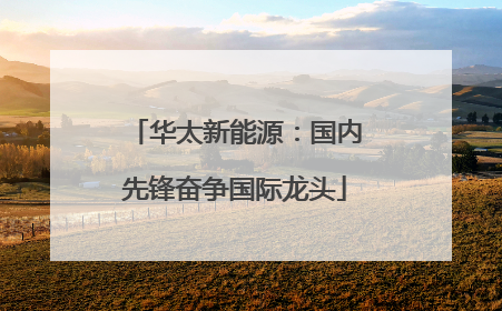 华太新能源：国内先锋奋争国际龙头