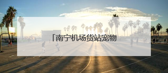 南宁机场货站宠物候机厅正式启用
