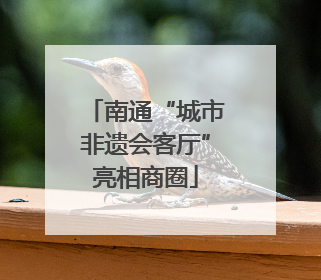 南通“城市非遗会客厅”亮相商圈