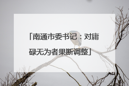 南通市委书记：对庸碌无为者果断调整