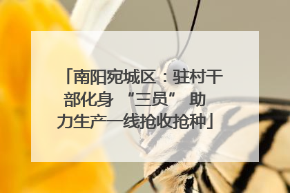 南阳宛城区：驻村干部化身 “三员” 助力生产一线抢收抢种
