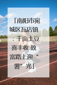 南阳市宛城区瓦店镇：千亩土豆喜丰收 致富路上迎“薯”光