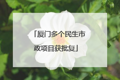 厦门多个民生市政项目获批复