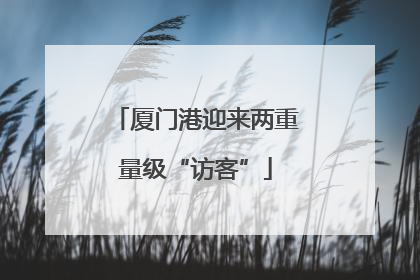 厦门港迎来两重量级“访客”