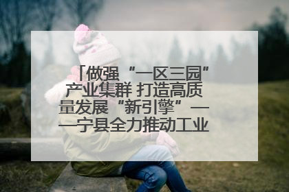 做强“一区三园”产业集群 打造高质量发展“新引擎”——宁县全力推动工业经济提质增效