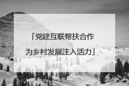 党建互联帮扶合作 为乡村发展注入活力