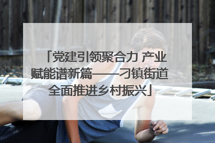 党建引领聚合力 产业赋能谱新篇——刁镇街道全面推进乡村振兴