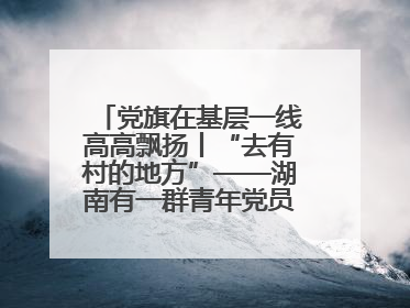 党旗在基层一线高高飘扬丨“去有村的地方”——湖南有一群青年党员这样选择