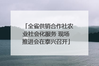 全省供销合作社农业社会化服务 现场推进会在泰兴召开