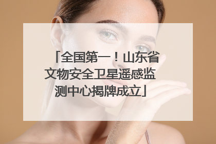 全国第一！山东省文物安全卫星遥感监测中心揭牌成立
