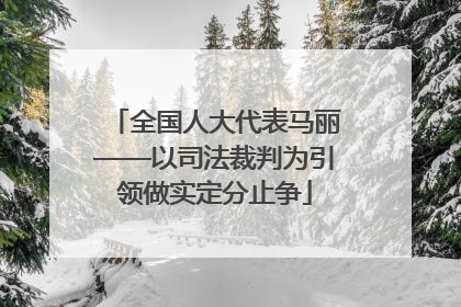 全国人大代表马丽——以司法裁判为引领做实定分止争