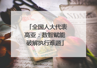 全国人大代表高亚：数智赋能破解执行难题