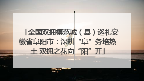 全国双拥模范城（县）巡礼安徽省阜阳市：深耕“阜”务培热土 双拥之花向“阳”开