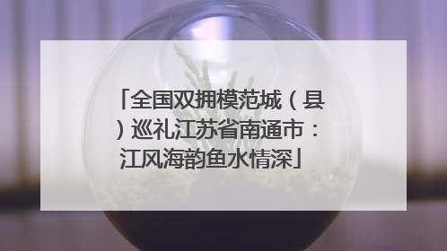 全国双拥模范城（县）巡礼江苏省南通市：江风海韵鱼水情深