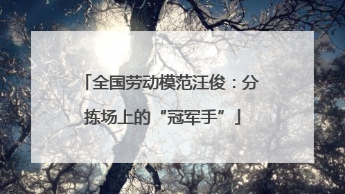全国劳动模范汪俊：分拣场上的“冠军手”