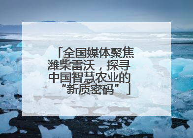 全国媒体聚焦潍柴雷沃，探寻中国智慧农业的“新质密码”