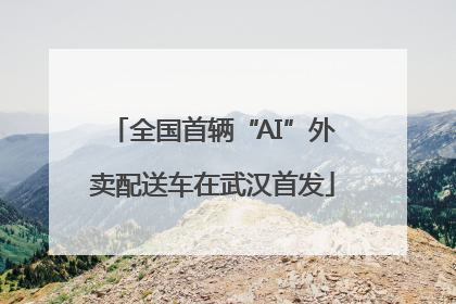 全国首辆“AI”外卖配送车在武汉首发